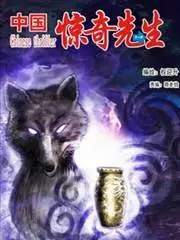 中国惊奇先生
