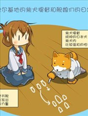 拉包尔基地的柴犭提督和舰娘们的日常