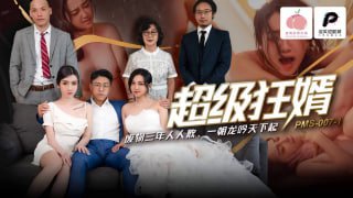 超级狂婿