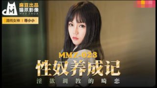 性奴养成记寻小小