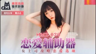 恋爱辅助器寻小小