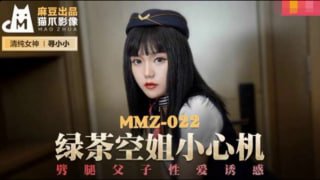 绿茶空姐小心机寻小小
